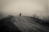 Entre la niebla (TERCER PUESTO FOTOPRIMAVERA'2014)