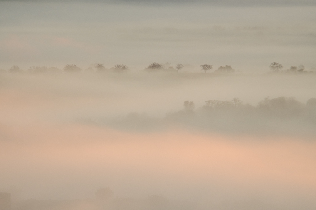 Coloreando la niebla
Un claro en el horizonte permite que se cuele un rayo del sol bajo la densa niebla.
