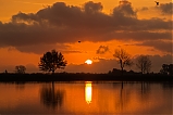 Amanecer reflejado en los arrozales del Delta del Ebro