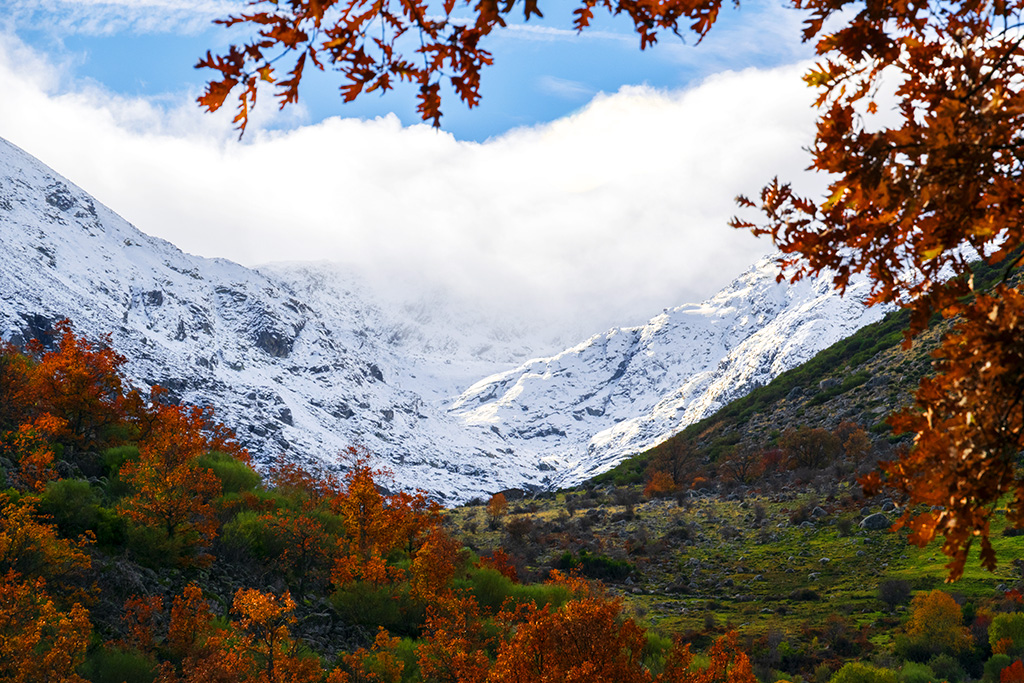 Primeras nieves
Contraste entre el colorido del valle y el blanco y gris de los picos nevados envueltos en nubes bajas
