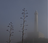 Niebla en el Faro