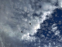palomas en las nubes 